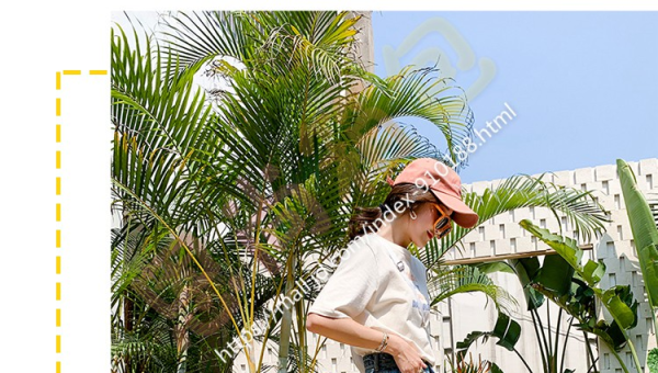 莆田椰子鞋价位全解析:从几十到上千元不等